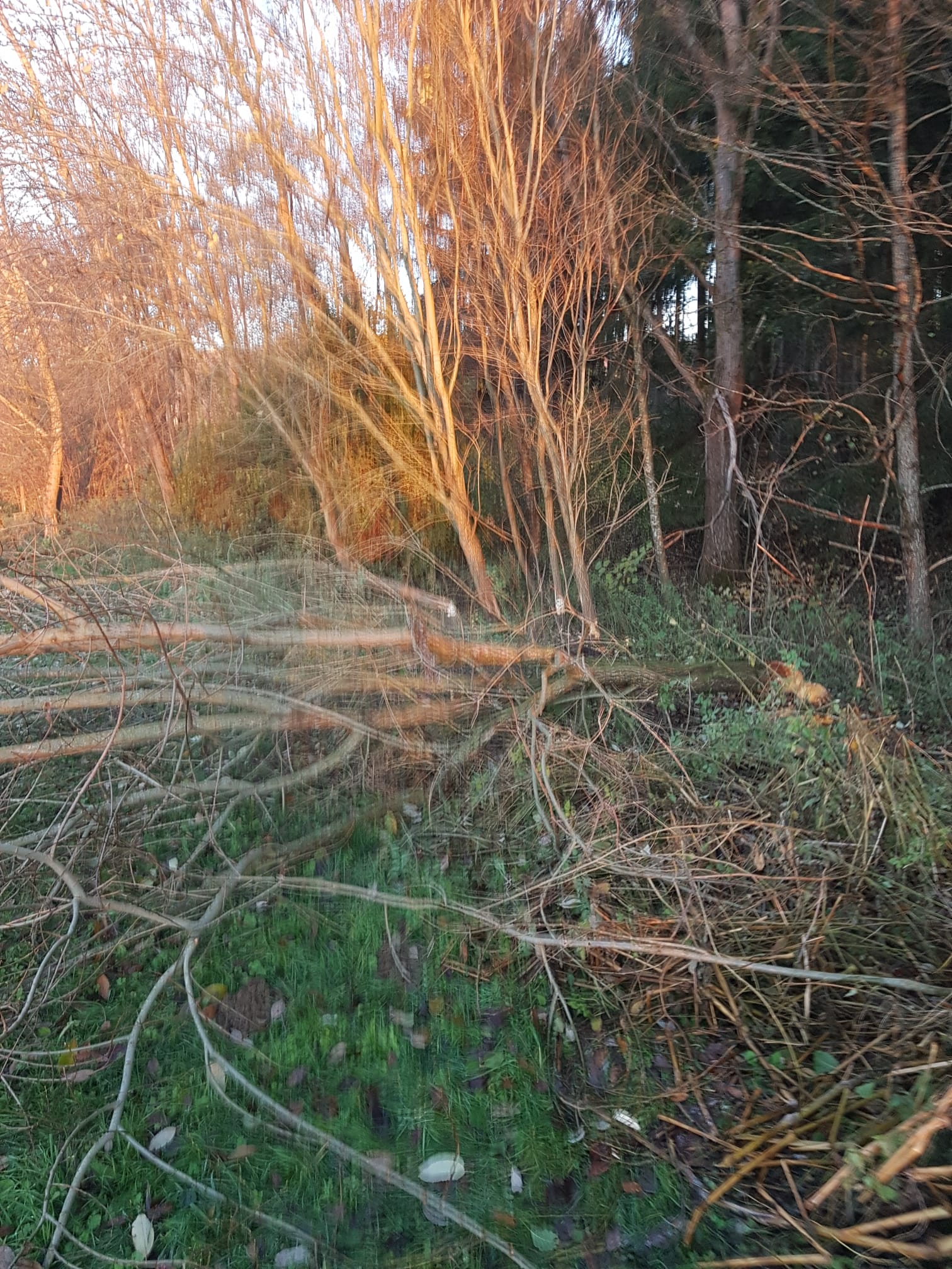 Galeriebild: WhatsApp Image 2022 06 05 at 16.58.29 (1)